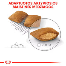 Mini Exigent dry dog ​​food