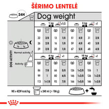 Mini Exigent dry dog ​​food