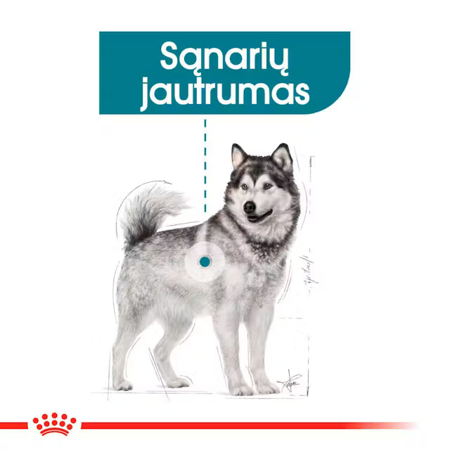 MAXI JOINT CARE sausas pašaras šuniui