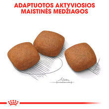 MAXI JOINT CARE sausas pašaras šuniui