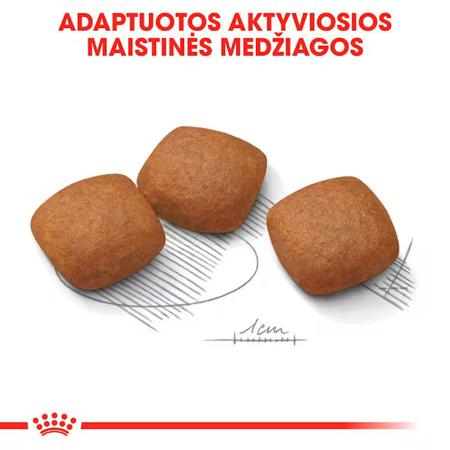 MAXI JOINT CARE sausas pašaras šuniui
