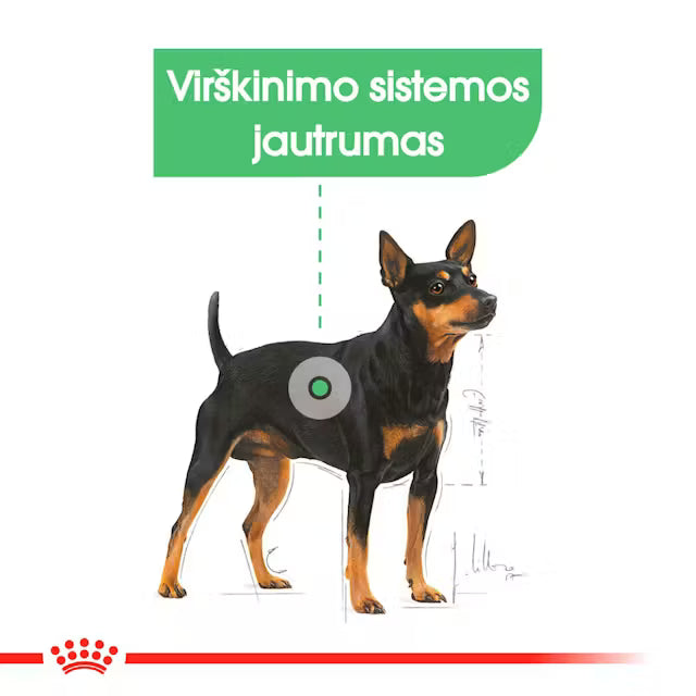 Digestive Care mokra karma dla psa
