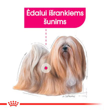 Royal Canin Exigent Loaf karma mokra dla psów 12x85g