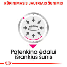 Royal Canin Exigent Loaf karma mokra dla psów 12x85g