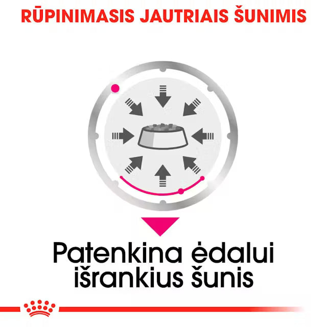 Royal Canin Exigent Loaf karma mokra dla psów 12x85g