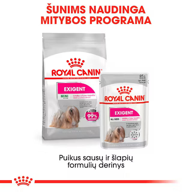 Royal Canin Exigent Loaf karma mokra dla psów 12x85g
