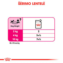 Royal Canin Exigent Loaf karma mokra dla psów 12x85g