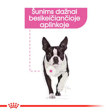 Relax Care drėgnas pašaras šuniui