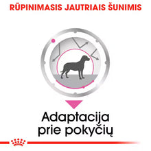 Relax Care drėgnas pašaras šuniui