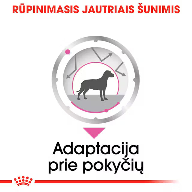 Relax Care drėgnas pašaras šuniui