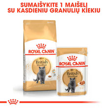Sucha karma dla kota British Shorthair Adult
