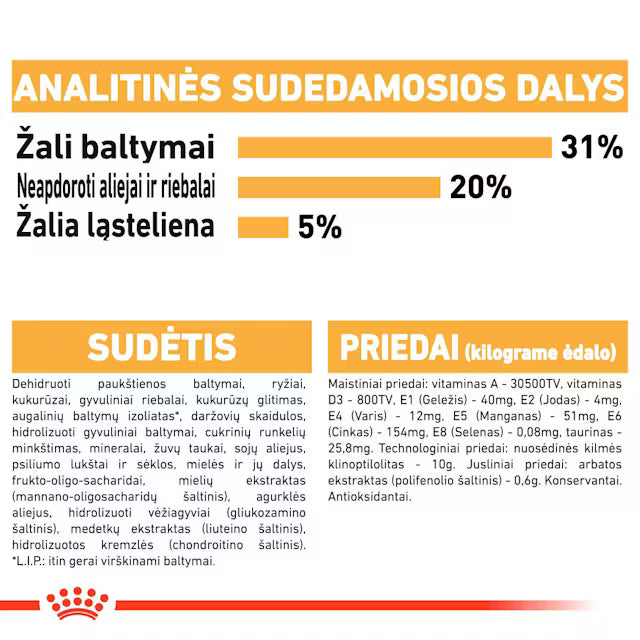 Maine Coon Adult sausas pašaras katei