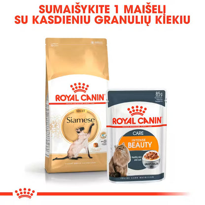 Sucha karma dla dorosłych kotów syjamskich