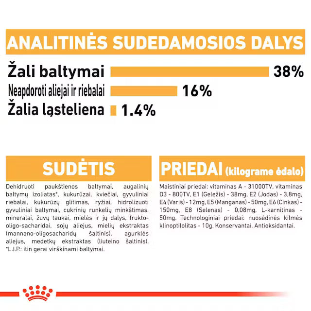 Sucha karma dla dorosłych kotów syjamskich