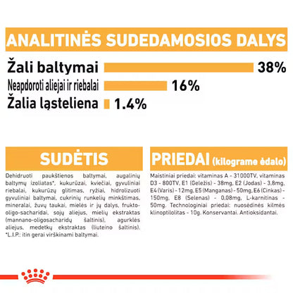 Sucha karma dla dorosłych kotów syjamskich