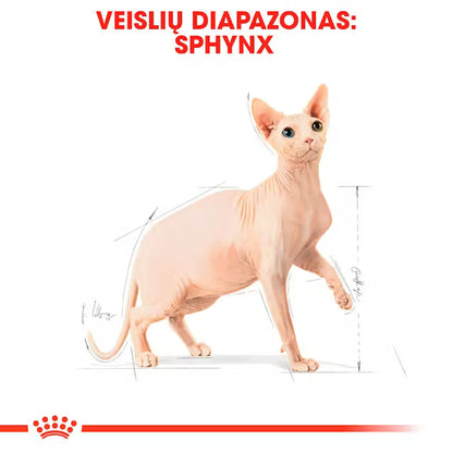 Sphynx Adult dry cat food