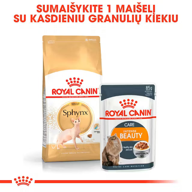 Sphynx Adult dry cat food
