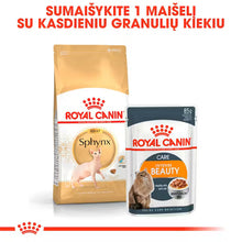 Сухой корм для кошек Sphynx Adult