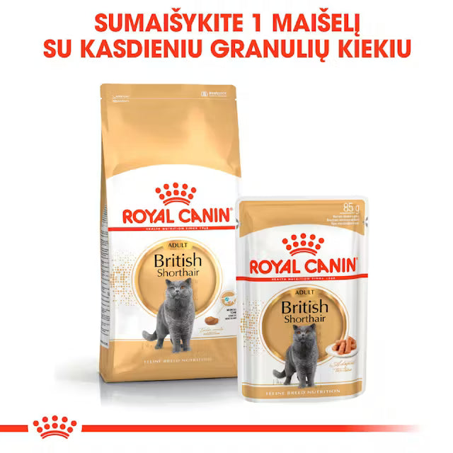 ROYAL CANIN British Shorthair Adult Thin Slices In Gravy - Wet Cat Food 12x85g