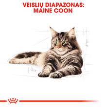 ROYAL CANIN Maine Coon Adult Thin Slices In Gravy - Drėgnas Pašaras Katėms 12x85g