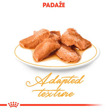 ROYAL CANIN Maine Coon Adult Thin Slices In Gravy - Drėgnas Pašaras Katėms 12x85g