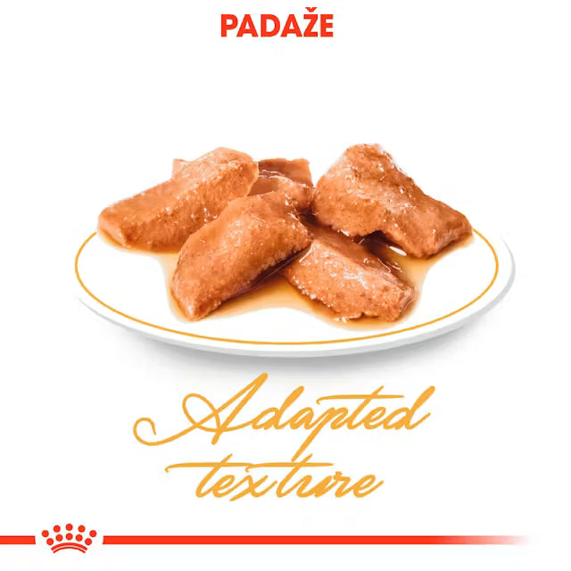 ROYAL CANIN Maine Coon Adult Thin Slices In Gravy - Drėgnas Pašaras Katėms 12x85g