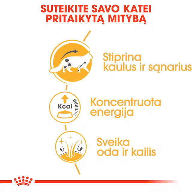 ROYAL CANIN Maine Coon Adult Thin Slices In Gravy - Drėgnas Pašaras Katėms 12x85g
