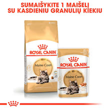 ROYAL CANIN Maine Coon Adult Thin Slices In Gravy - Drėgnas Pašaras Katėms 12x85g