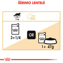 ROYAL CANIN Maine Coon Adult Thin Slices In Gravy - Drėgnas Pašaras Katėms 12x85g