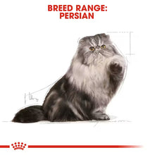 ROYAL CANIN Persian Adult Loaf - Drėgnas Pašaras Persų Katėms 12x85g