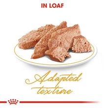 ROYAL CANIN Persian Adult Loaf - Drėgnas Pašaras Persų Katėms 12x85g