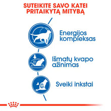 Indoor 7+ dry cat food