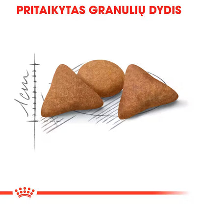 Indoor Appetite Control sausas pašaras katei