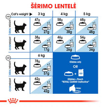 Indoor Appetite Control dry cat food