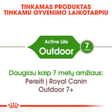 Outdoor dry cat food