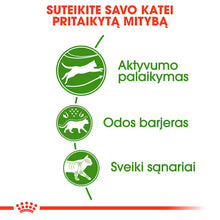 Outdoor dry cat food