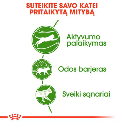 Outdoor sausas pašaras katei