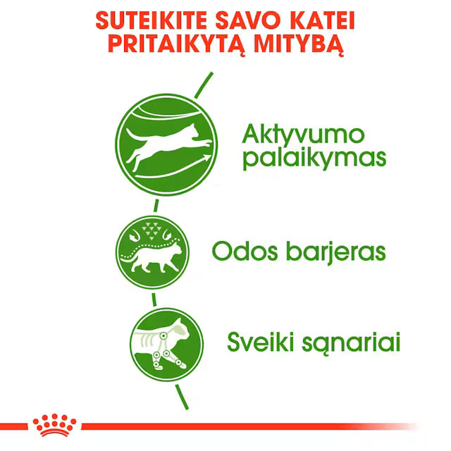 Outdoor dry cat food