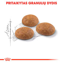 Outdoor dry cat food