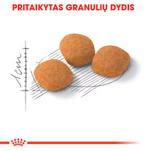 Protein Exigent dry cat food
