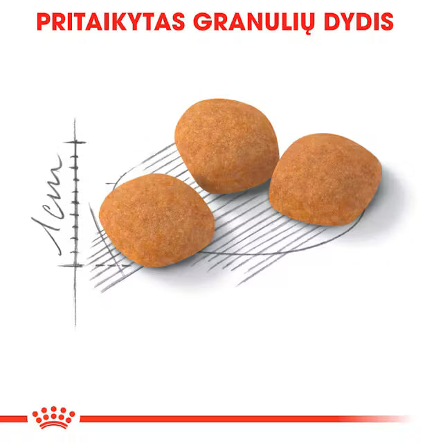 Protein Exigent dry cat food