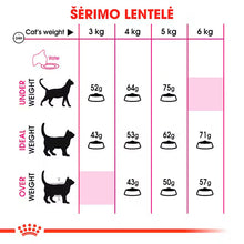 Protein Exigent dry cat food