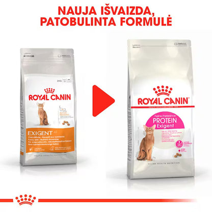 Protein Exigent karma sucha dla kota