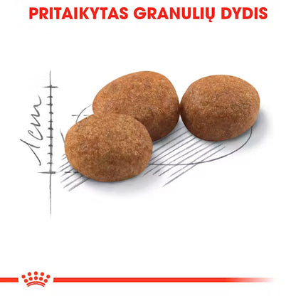 Sterilised 37 sausas pašaras katei