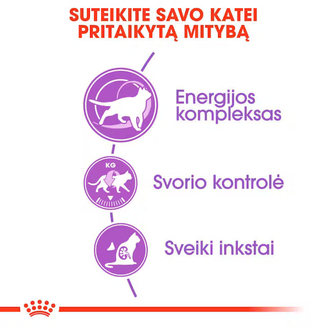 Sterilised 7+ sausas pašaras katei