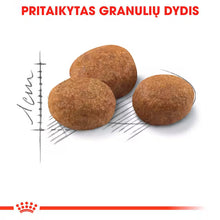 Sterilised 7+ sausas pašaras katei