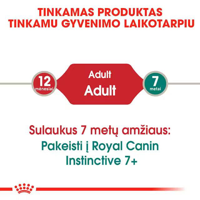 ROYAL CANIN Instinctive Jelly - Wet Food for Adult Cats 12x85g
