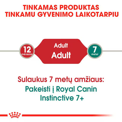 ROYAL CANIN Instinctive Jelly - Wet Food for Adult Cats 12x85g