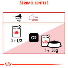ROYAL CANIN Instinctive Jelly - Wet Food for Adult Cats 12x85g