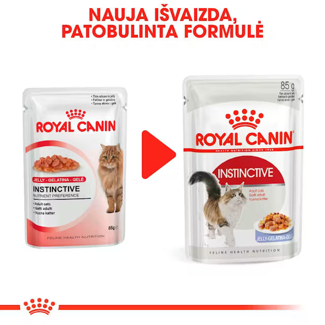 ROYAL CANIN Instinctive Jelly - Wet Food for Adult Cats 12x85g